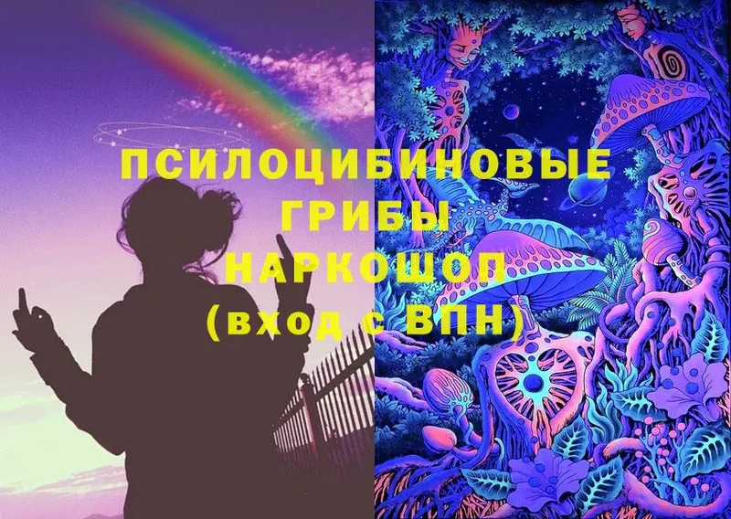 Галлюциногенные грибы Magic Shrooms  Шадринск 